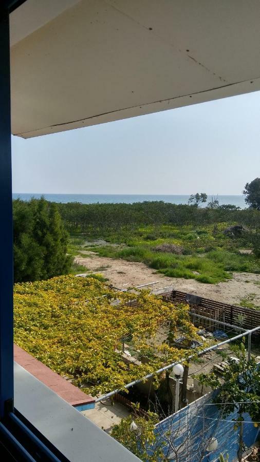 Il Mare Vila Larnaca Exterior foto