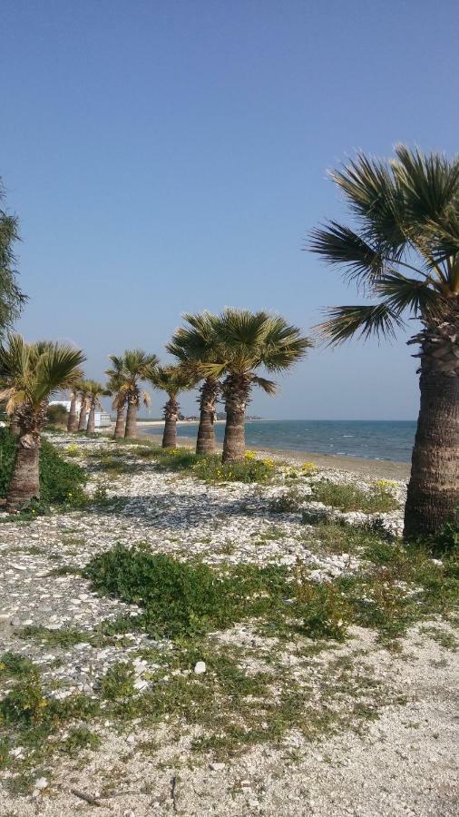 Il Mare Vila Larnaca Exterior foto